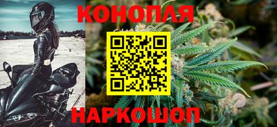 стаф Изобильный