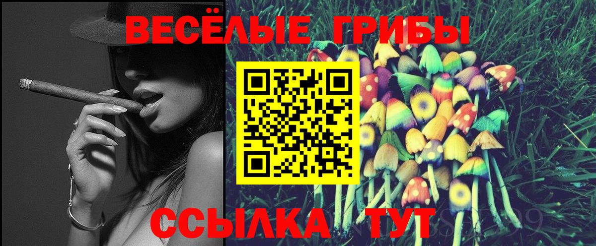 Галлюциногенные грибы ЛСД Барабинск